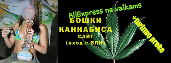молекула духа Слюдянка